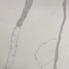 Calacatta Sponda Quartz countertops Myrtle Beach